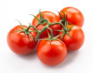 Tomatoes, Stem